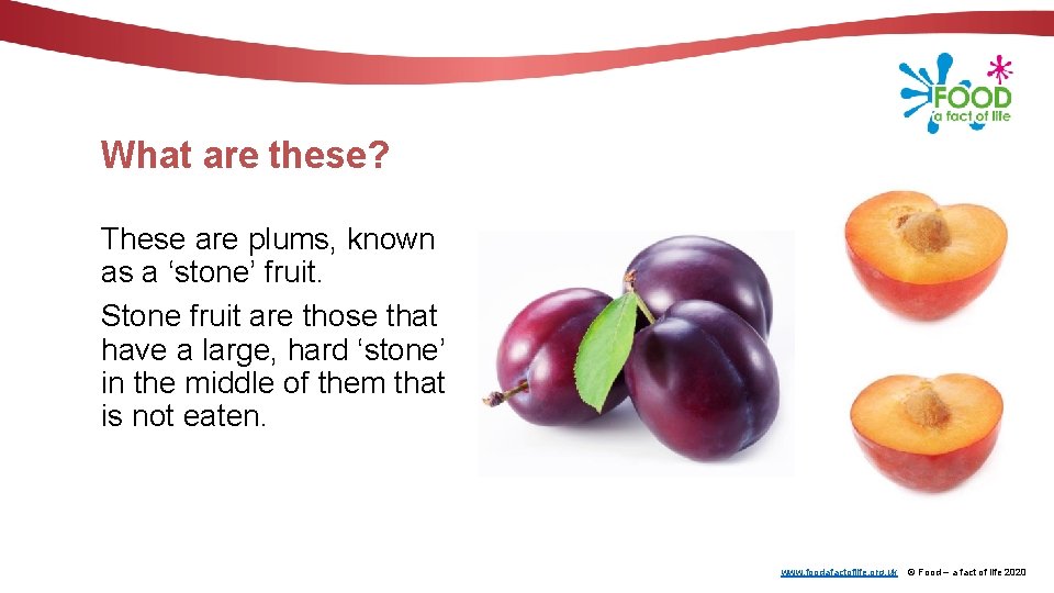 What are these? These are plums, known as a ‘stone’ fruit. Stone fruit are