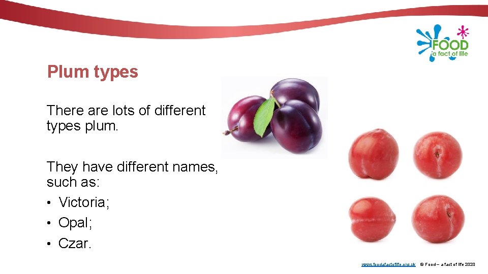 Plum types There are lots of different types plum. They have different names, such