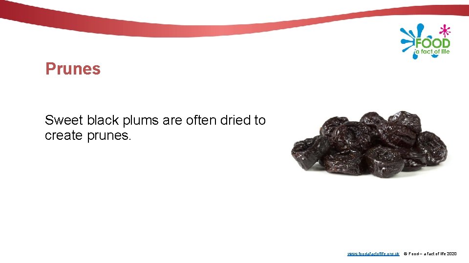 Prunes Sweet black plums are often dried to create prunes. www. foodafactoflife. org. uk