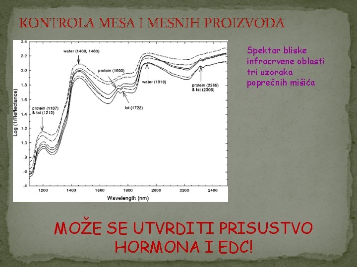 KONTROLA MESA I MESNIH PROIZVODA Spektar bliske infracrvene oblasti tri uzoraka poprečnih mišića MOŽE