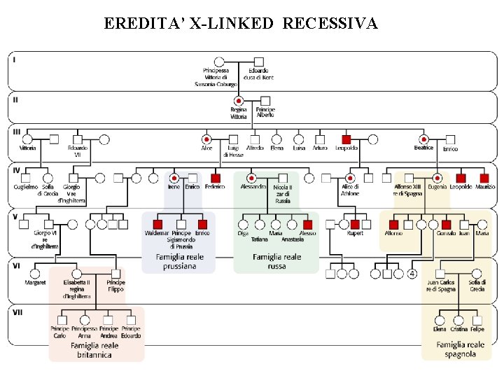 EREDITA’ X-LINKED RECESSIVA EREDITA’ X-LINKED RECESSIVA