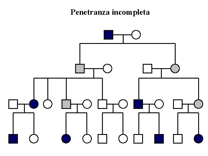 Penetranza incompleta Penetranza incompleta