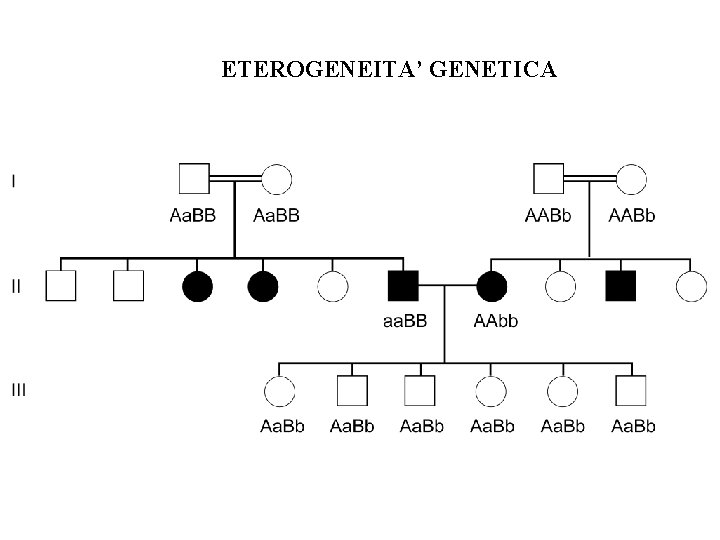 ETEROGENEITA’ GENETICA ETEROGENEITA’ GENETICA