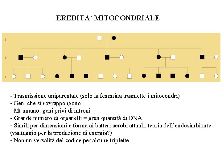 EREDITA’ MITOCONDRIALE - Trasmissione uniparentale (solo la femmina trasmette i mitocondri) - Geni che EREDITA’ MITOCONDRIALE - Trasmissione uniparentale (solo la femmina trasmette i mitocondri) - Geni che