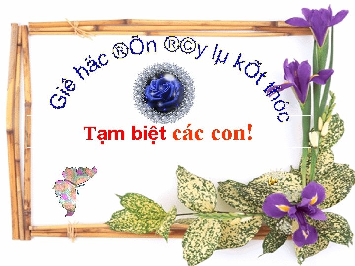 Tạm biệt các con! 