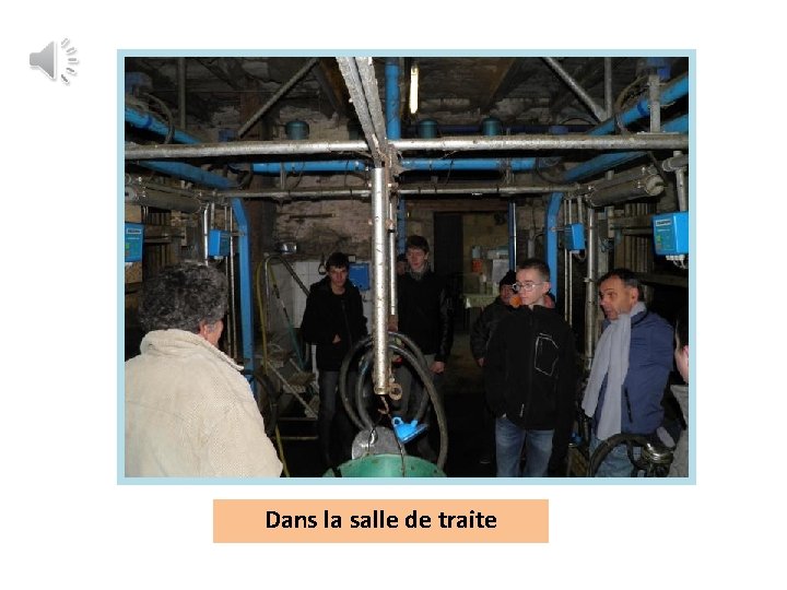 Dans la salle de traite 