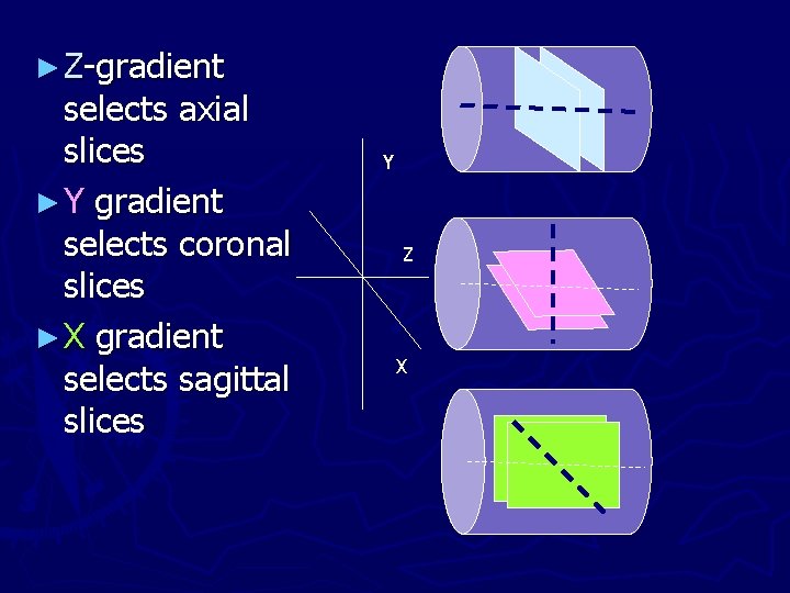 ► Z-gradient selects axial slices ► Y gradient selects coronal slices ► X gradient