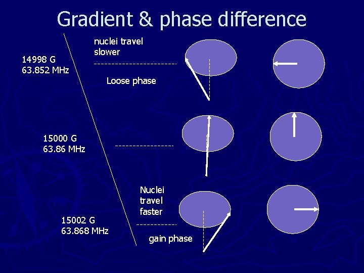 Gradient & phase difference 14998 G 63. 852 MHz nuclei travel slower Loose phase