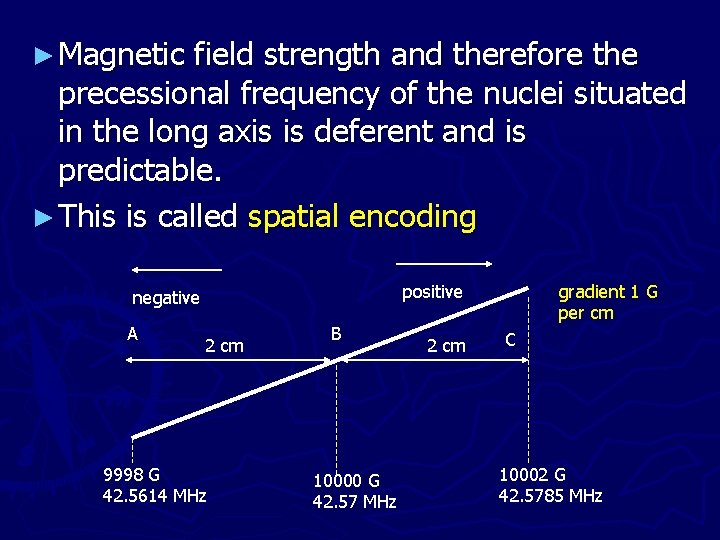 ► Magnetic field strength and therefore the precessional frequency of the nuclei situated in