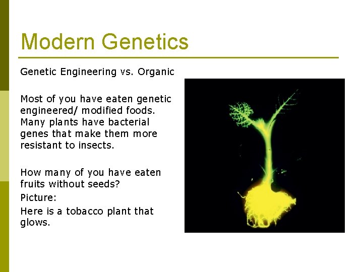 Modern Genetics Genetic Engineering vs. Organic Most of you have eaten genetic engineered/ modified Modern Genetics Genetic Engineering vs. Organic Most of you have eaten genetic engineered/ modified
