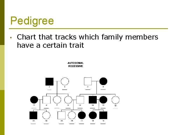 Pedigree • Chart that tracks which family members have a certain trait Pedigree • Chart that tracks which family members have a certain trait