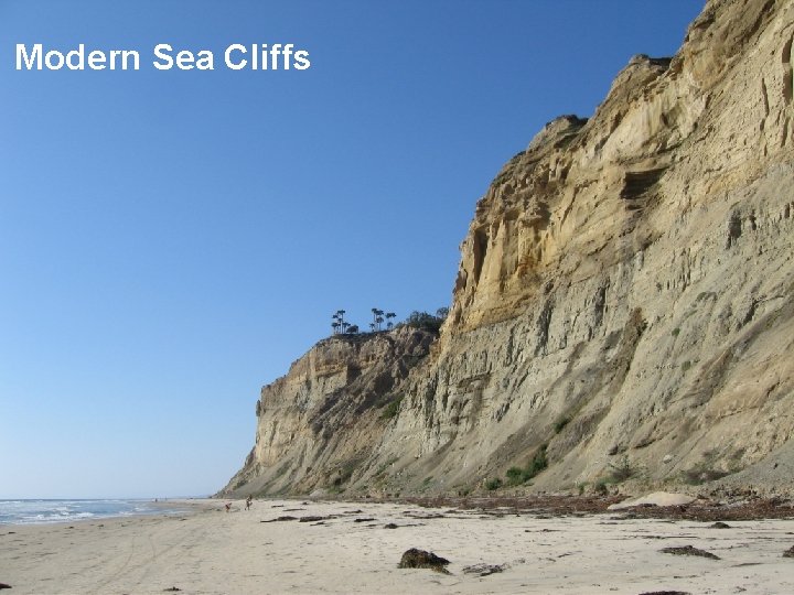 Modern Sea Cliffs Modern Sea Cliffs