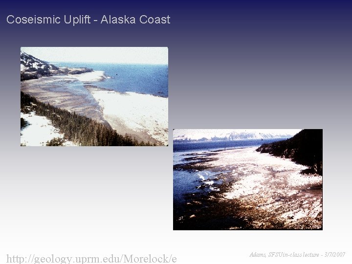 Coseismic Uplift - Alaska Coast http: //geology. uprm. edu/Morelock/e Adams, SFSU in-class lecture - Coseismic Uplift - Alaska Coast http: //geology. uprm. edu/Morelock/e Adams, SFSU in-class lecture -