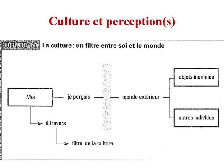 Culture et perception(s) 