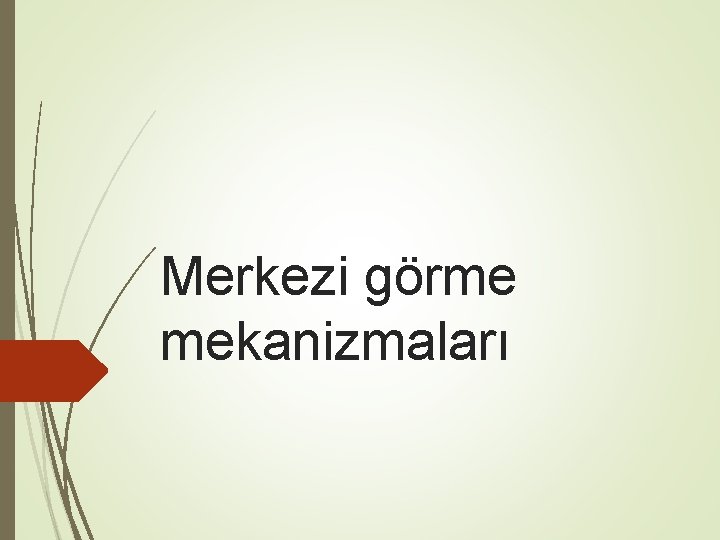 Merkezi görme mekanizmaları 