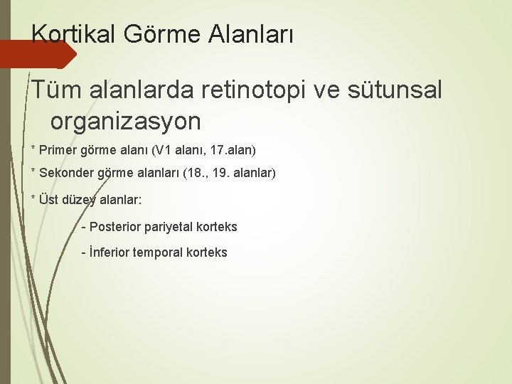 Kortikal Görme Alanları Tüm alanlarda retinotopi ve sütunsal organizasyon * Primer görme alanı (V Kortikal Görme Alanları Tüm alanlarda retinotopi ve sütunsal organizasyon * Primer görme alanı (V