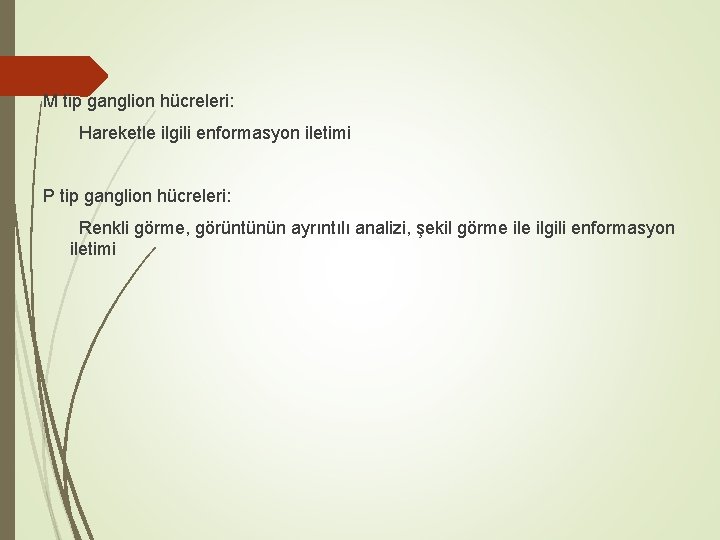 M tip ganglion hücreleri: Hareketle ilgili enformasyon iletimi P tip ganglion hücreleri: Renkli görme,