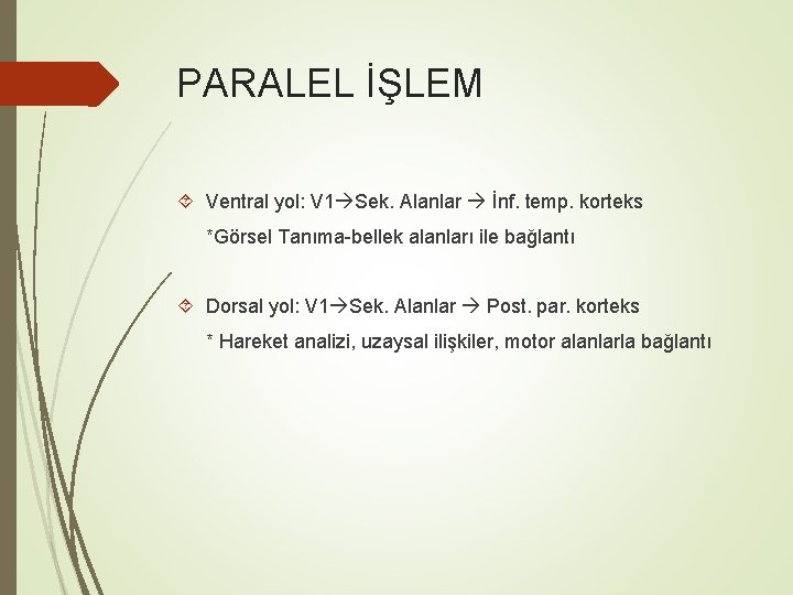PARALEL İŞLEM Ventral yol: V 1 Sek. Alanlar İnf. temp. korteks *Görsel Tanıma-bellek alanları PARALEL İŞLEM Ventral yol: V 1 Sek. Alanlar İnf. temp. korteks *Görsel Tanıma-bellek alanları
