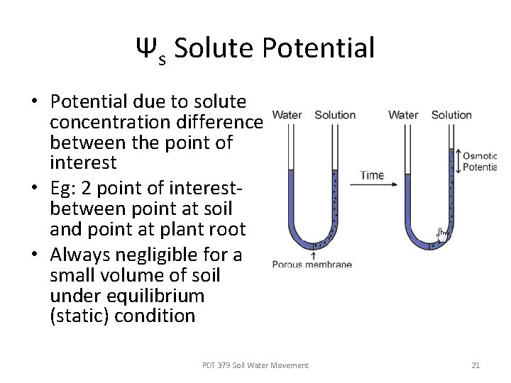 Ψs Solute Potential • Potential due to solute concentration difference between the point of