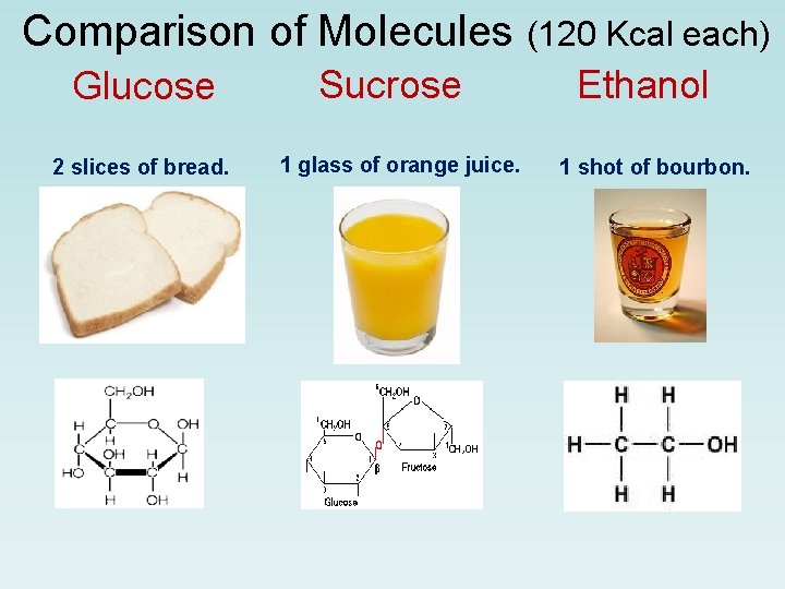 Comparison of Molecules (120 Kcal each) Glucose 2 slices of bread. Sucrose 1 glass