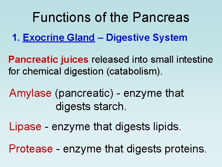 Functions of the Pancreas 1. Exocrine Gland – Digestive System Pancreatic juices released into