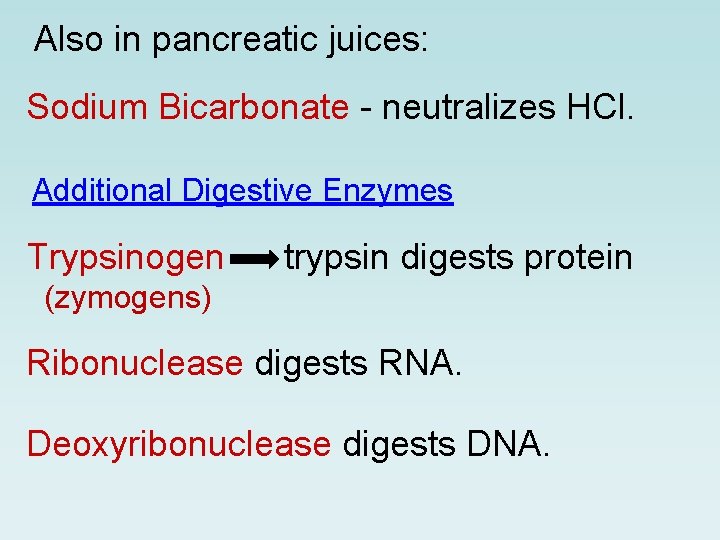 Also in pancreatic juices: Sodium Bicarbonate - neutralizes HCl. Additional Digestive Enzymes Trypsinogen trypsin