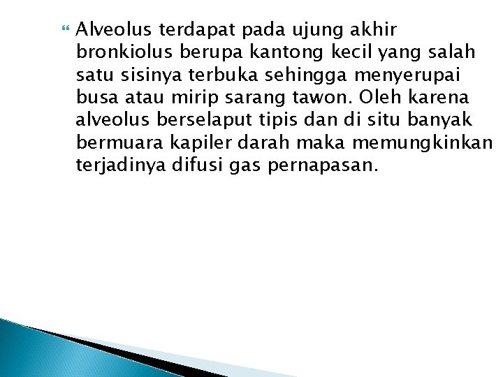  Alveolus terdapat pada ujung akhir bronkiolus berupa kantong kecil yang salah satu sisinya