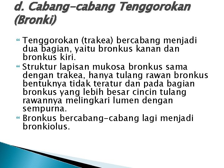 d. Cabang-cabang Tenggorokan (Bronki) Tenggorokan (trakea) bercabang menjadi dua bagian, yaitu bronkus kanan dan