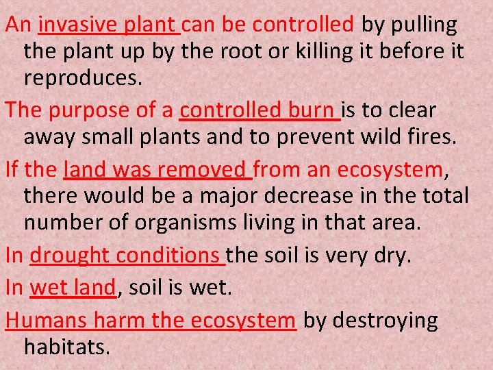 An invasive plant can be controlled by pulling the plant up by the root