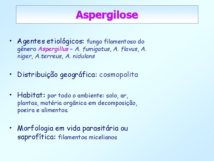 Aspergilose • Agentes etiológicos: fungo filamentoso do gênero Aspergillus – A. fumigatus, A. flavus,