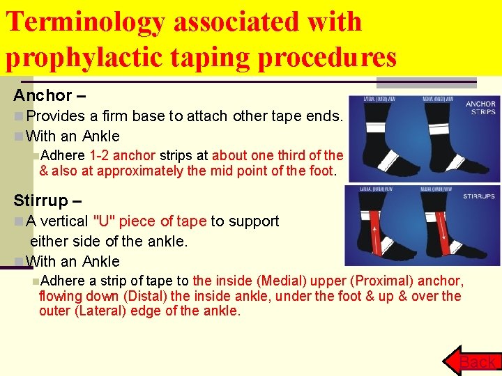 Terminology associated with prophylactic taping procedures Anchor – n Provides a firm base to