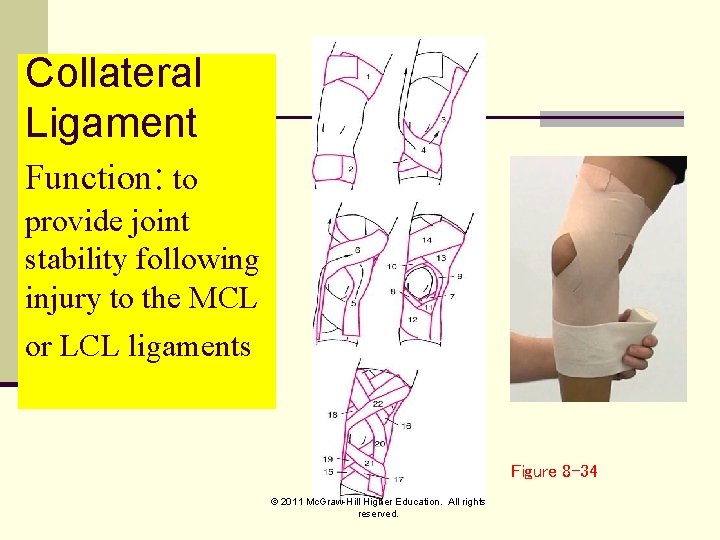 Collateral Ligament Function: to provide joint stability following injury to the MCL or LCL