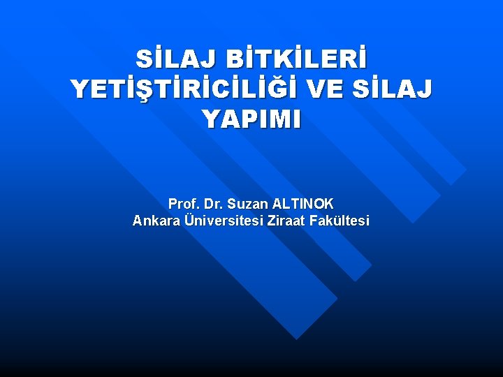 SİLAJ BİTKİLERİ YETİŞTİRİCİLİĞİ VE SİLAJ YAPIMI Prof. Dr. Suzan ALTINOK Ankara Üniversitesi Ziraat Fakültesi