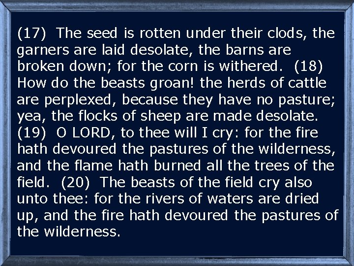 (17) The seed is rotten under their clods, the garners are laid desolate, the