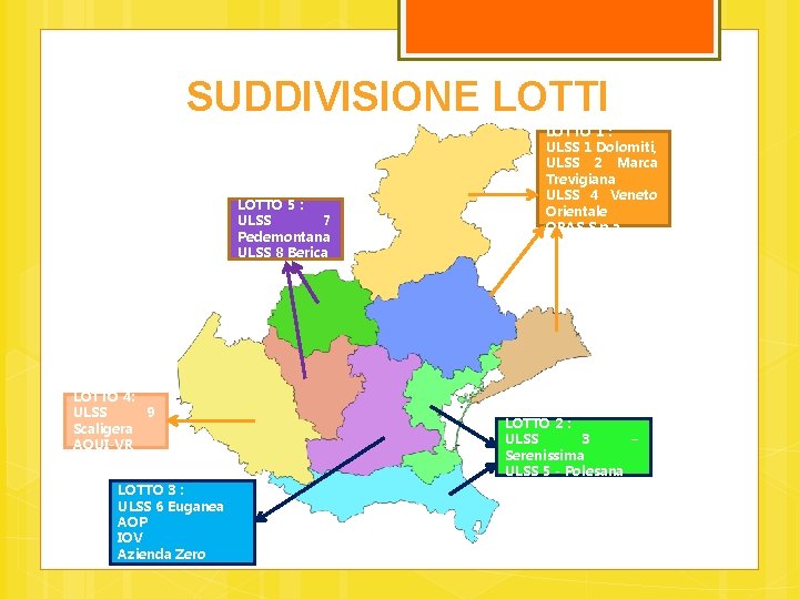 SUDDIVISIONE LOTTI LOTTO 5 : ULSS 7 Pedemontana ULSS 8 Berica LOTTO 4: ULSS