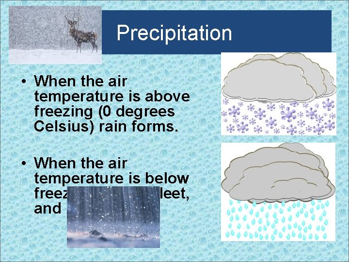 Precipitation • When the air temperature is above freezing (0 degrees Celsius) rain forms.