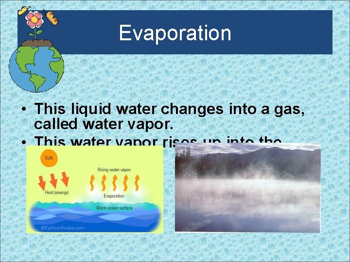 Evaporation • This liquid water changes into a gas, called water vapor. • This