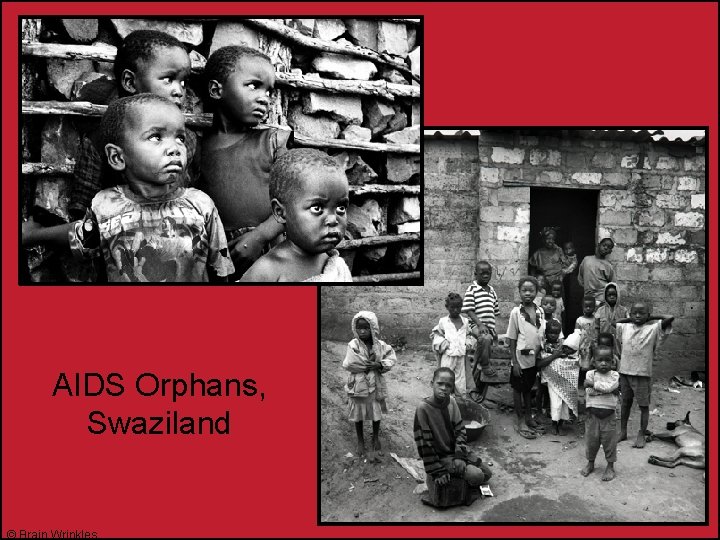 AIDS Orphans, Swaziland © Brain Wrinkles 