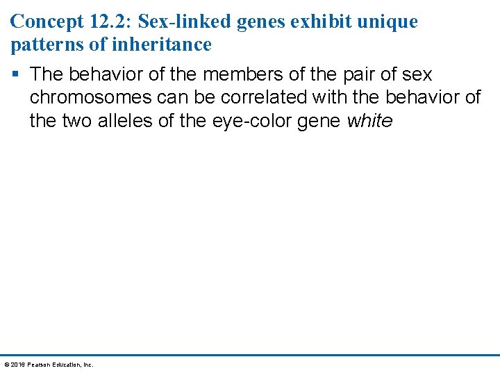 Concept 12. 2: Sex-linked genes exhibit unique patterns of inheritance § The behavior of