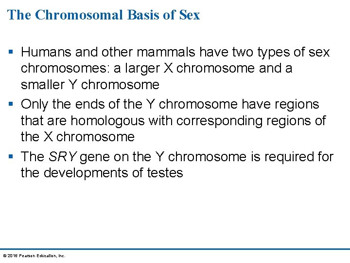 The Chromosomal Basis of Sex § Humans and other mammals have two types of