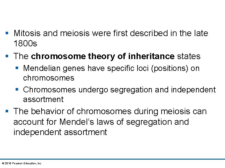 § Mitosis and meiosis were first described in the late 1800 s § The