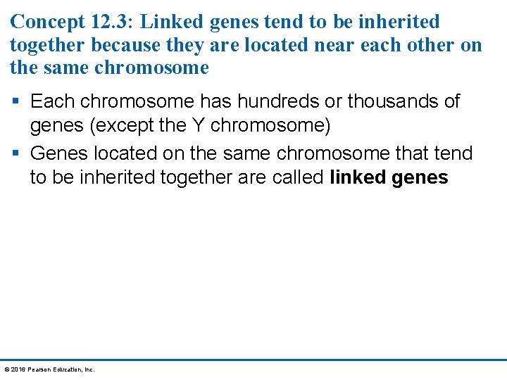 Concept 12. 3: Linked genes tend to be inherited together because they are located