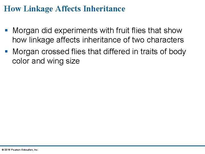 How Linkage Affects Inheritance § Morgan did experiments with fruit flies that show linkage