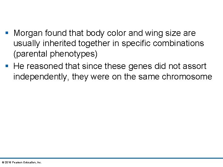 § Morgan found that body color and wing size are usually inherited together in