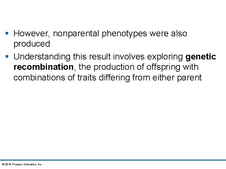 § However, nonparental phenotypes were also produced § Understanding this result involves exploring genetic