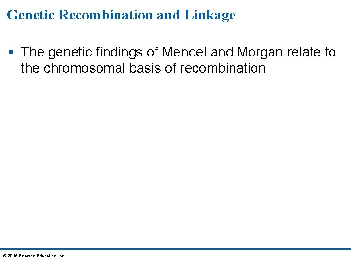 Genetic Recombination and Linkage § The genetic findings of Mendel and Morgan relate to