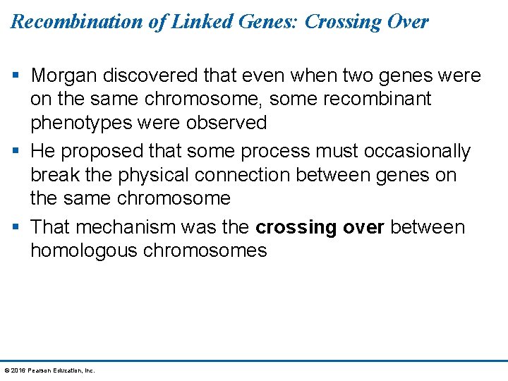 Recombination of Linked Genes: Crossing Over § Morgan discovered that even when two genes