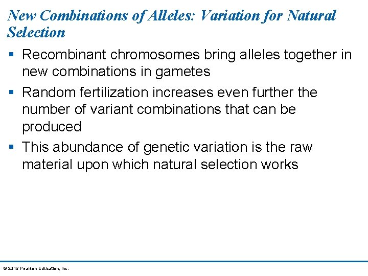 New Combinations of Alleles: Variation for Natural Selection § Recombinant chromosomes bring alleles together