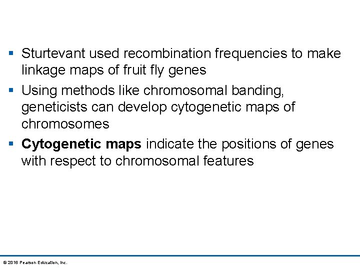 § Sturtevant used recombination frequencies to make linkage maps of fruit fly genes §