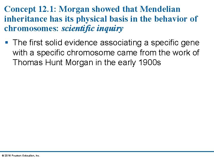 Concept 12. 1: Morgan showed that Mendelian inheritance has its physical basis in the